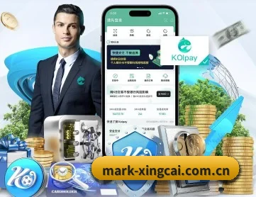 杏彩体育官网 APP 深度功能